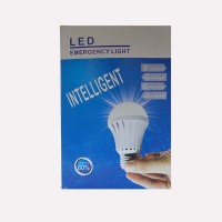 Intelligent Rechargeble LED Bulb 12W