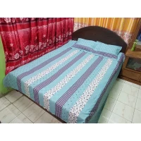 Cotton Bed Sheet with Pillow Covers